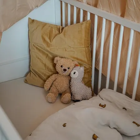 Wohnkultur - Altbau Charme Fuer 8 Personen